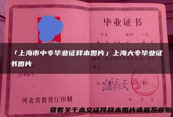 「上海市中专毕业证样本图片」上海大专毕业证书图片