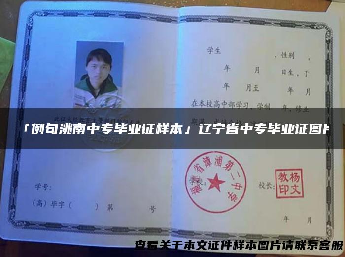 「例句洮南中专毕业证样本」辽宁省中专毕业证图片