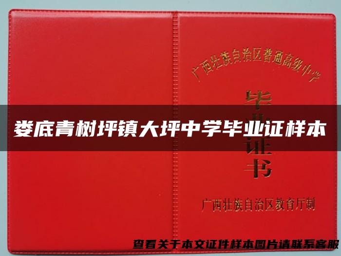 娄底青树坪镇大坪中学毕业证样本