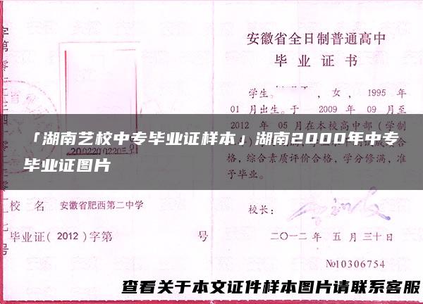 「湖南艺校中专毕业证样本」湖南2000年中专毕业证图片