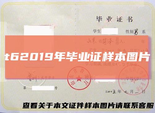 t62019年毕业证样本图片