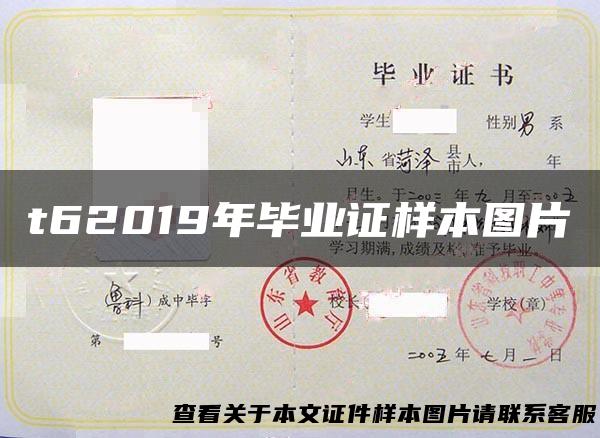 t62019年毕业证样本图片