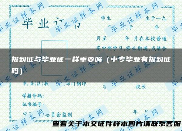 报到证与毕业证一样重要吗（中专毕业有报到证吗）