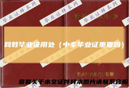 网教毕业证用处（中专毕业证重要吗）