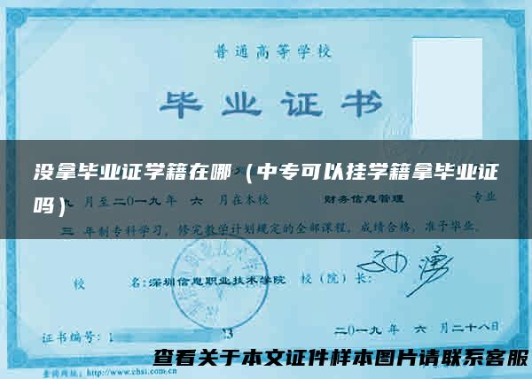 没拿毕业证学籍在哪（中专可以挂学籍拿毕业证吗）