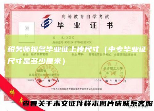 税务师报名毕业证上传尺寸（中专毕业证尺寸是多少厘米）