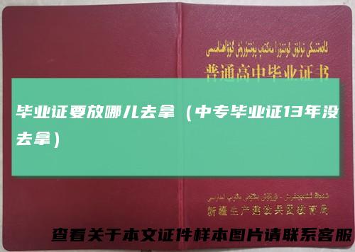 毕业证要放哪儿去拿（中专毕业证13年没去拿）