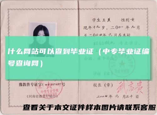什么网站可以查到毕业证(中专毕业证编号查询网)