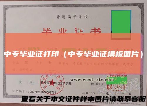 中专毕业证打印（中专毕业证模板图片）