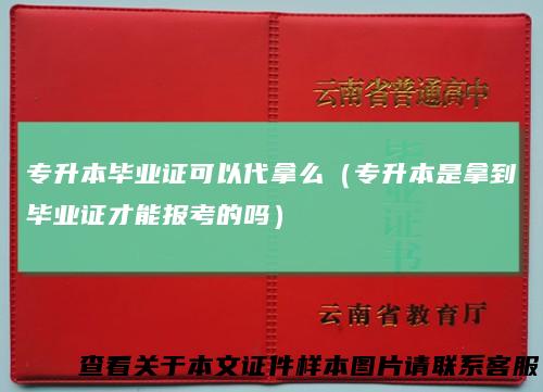 专升本毕业证可以代拿么（专升本是拿到毕业证才能报考的吗）