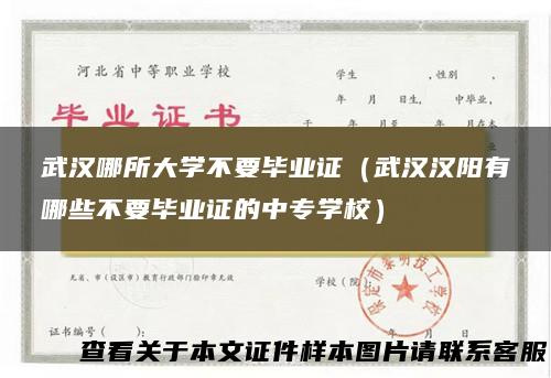 武汉哪所大学不要毕业证（武汉汉阳有哪些不要毕业证的中专学校）