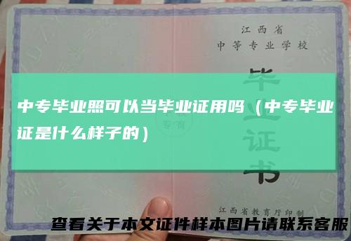 中专毕业照可以当毕业证用吗（中专毕业证是什么样子的）