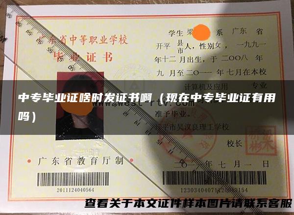 中专毕业证啥时发证书啊（现在中专毕业证有用吗）