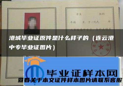 港城毕业证原件是什么样子的（连云港中专毕业证图片）