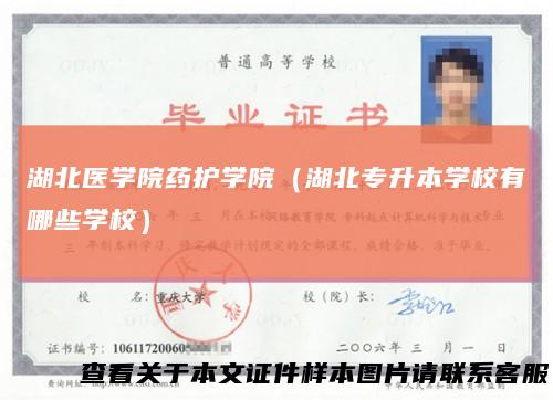 湖北医学院药护学院(湖北专升本学校有哪些学校)