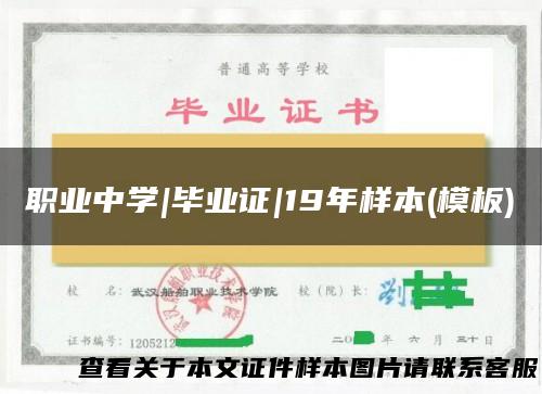 职业中学|毕业证|19年样本(模板)
