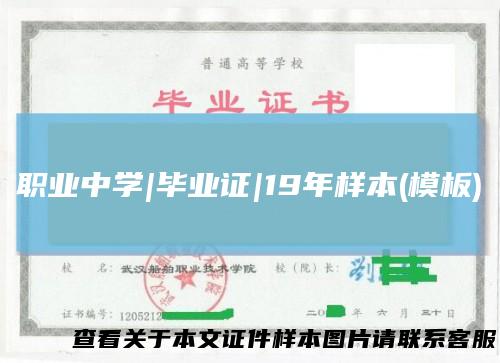 职业中学|毕业证|19年样本(模板)