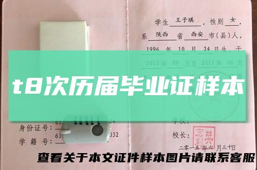 t8次历届毕业证样本