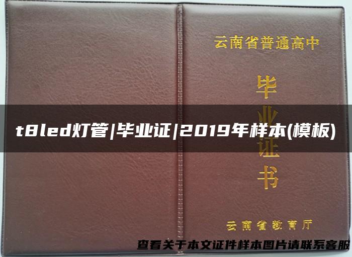t8led灯管|毕业证|2019年样本(模板)