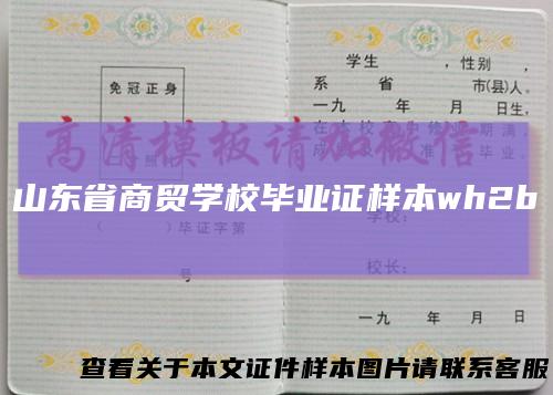 山东省商贸学校毕业证样本wh2b