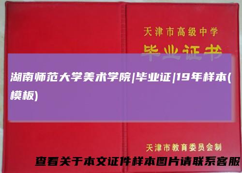 湖南师范大学美术学院|毕业证|19年样本(模板)