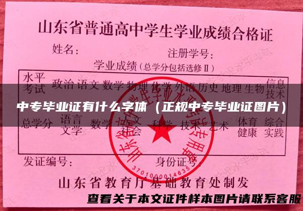 中专毕业证有什么字体（正规中专毕业证图片）