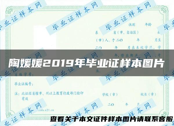 陶媛媛2019年毕业证样本图片