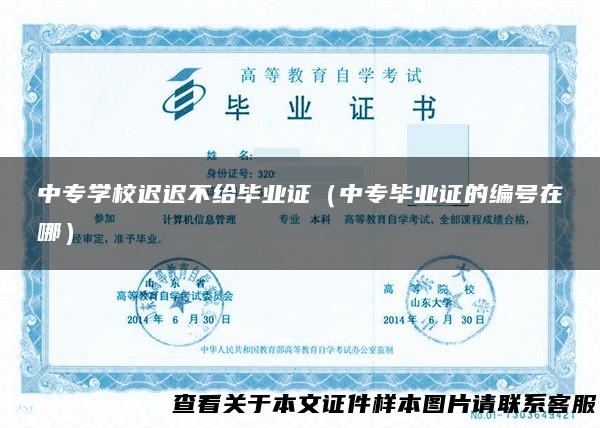 中专学校迟迟不给毕业证（中专毕业证的编号在哪）