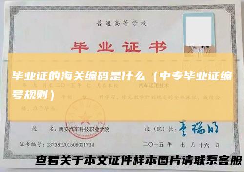 毕业证的海关编码是什么（中专毕业证编号规则）