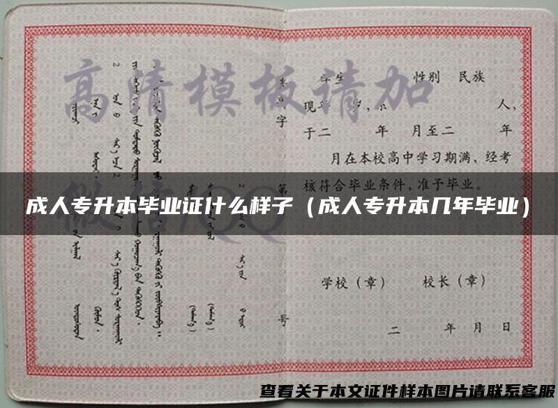 成人专升本毕业证什么样子（成人专升本几年毕业）