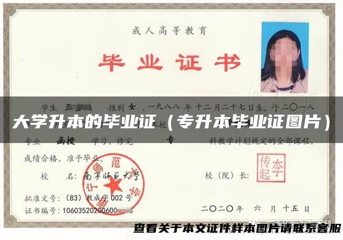 大学升本的毕业证（专升本毕业证图片）