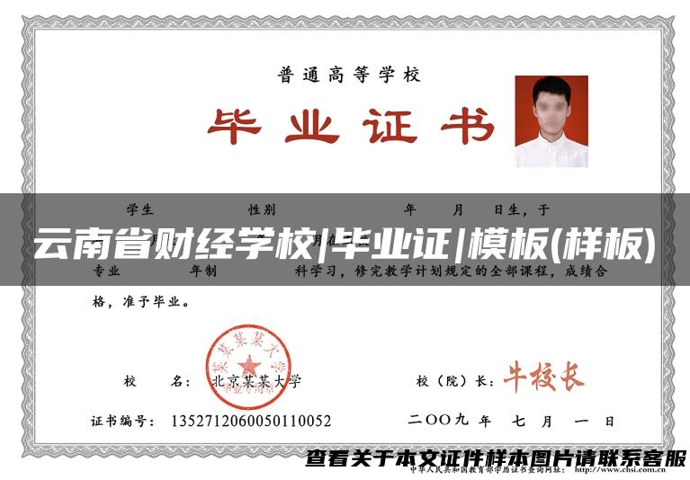 云南省财经学校|毕业证|模板(样板)
