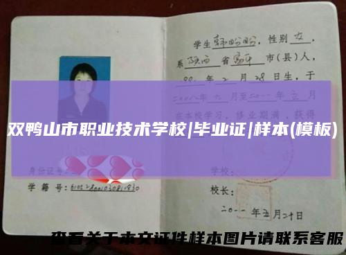 双鸭山市职业技术学校|毕业证|样本(模板)