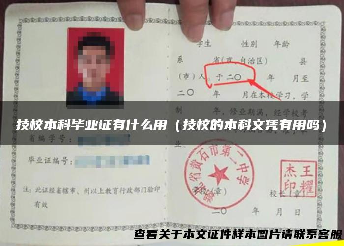 技校本科毕业证有什么用（技校的本科文凭有用吗）