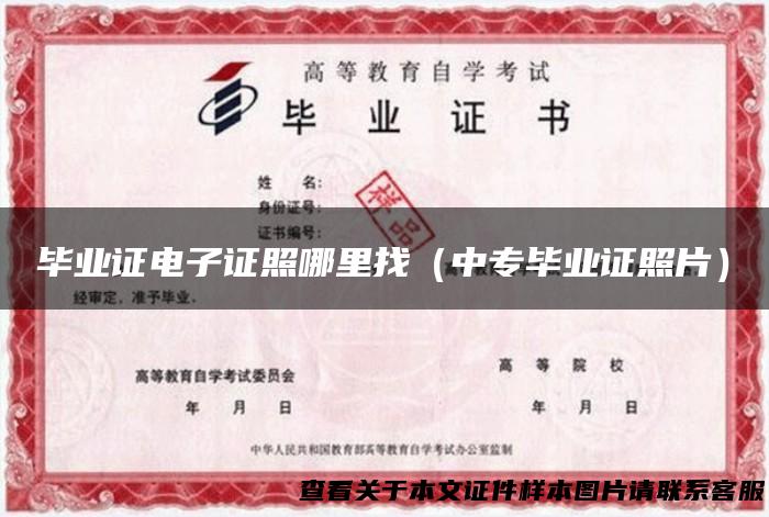 毕业证电子证照哪里找（中专毕业证照片）