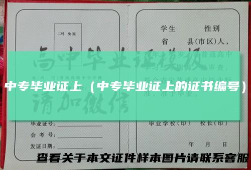 中专毕业证上（中专毕业证上的证书编号）
