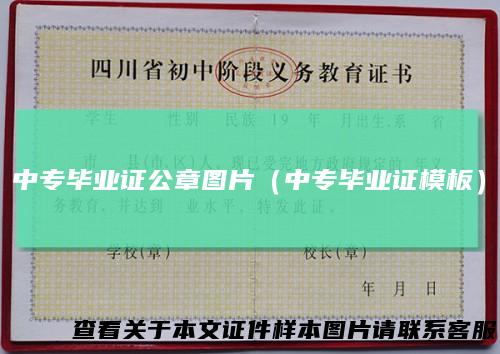中专毕业证公章图片（中专毕业证模板）