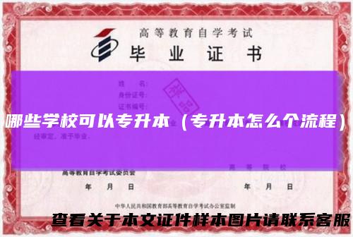 哪些学校可以专升本（专升本怎么个流程）