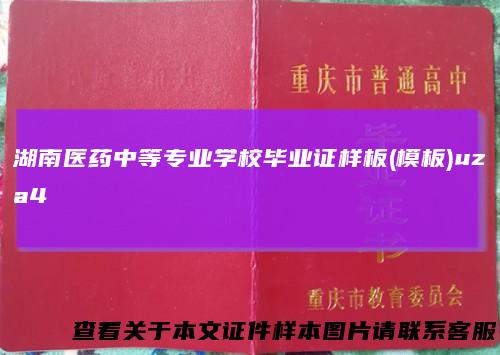湖南医药中等专业学校毕业证样板(模板)uza4
