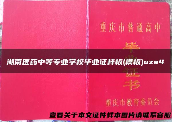 湖南医药中等专业学校毕业证样板(模板)uza4