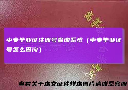 中专毕业证注册号查询系统（中专毕业证号怎么查询）