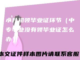 小升初领毕业证环节（中专毕业没有领毕业证怎么办）