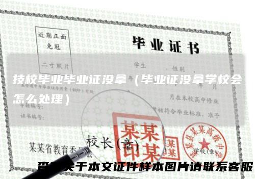 技校毕业毕业证没拿（毕业证没拿学校会怎么处理）