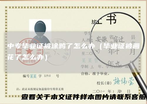 中专毕业证被涂鸦了怎么办（毕业证被画花了怎么办）