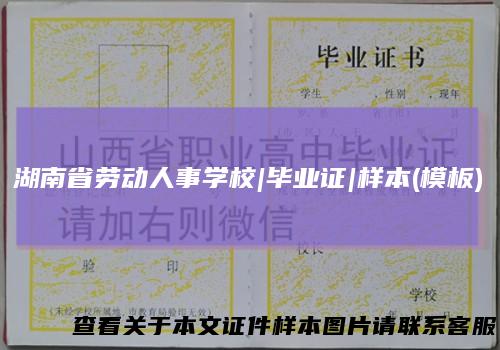 湖南省劳动人事学校|毕业证|样本(模板)