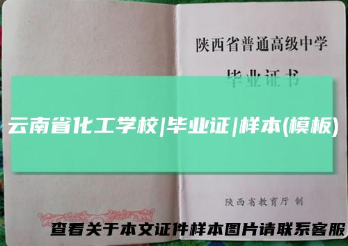 云南省化工学校|毕业证|样本(模板)