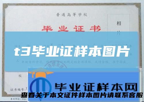 t3毕业证样本图片