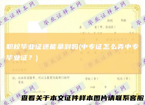 职校毕业证还能拿到吗(中专证怎么弄中专毕业证？)