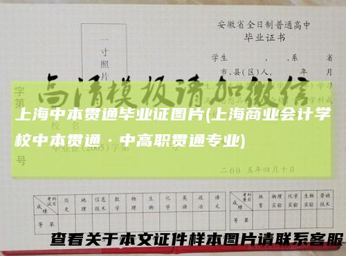 上海中本贯通毕业证图片(上海商业会计学校中本贯通·中高职贯通专业)