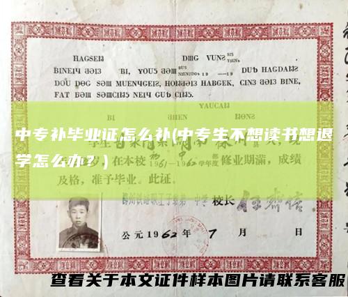 中专补毕业证怎么补(中专生不想读书想退学怎么办？)